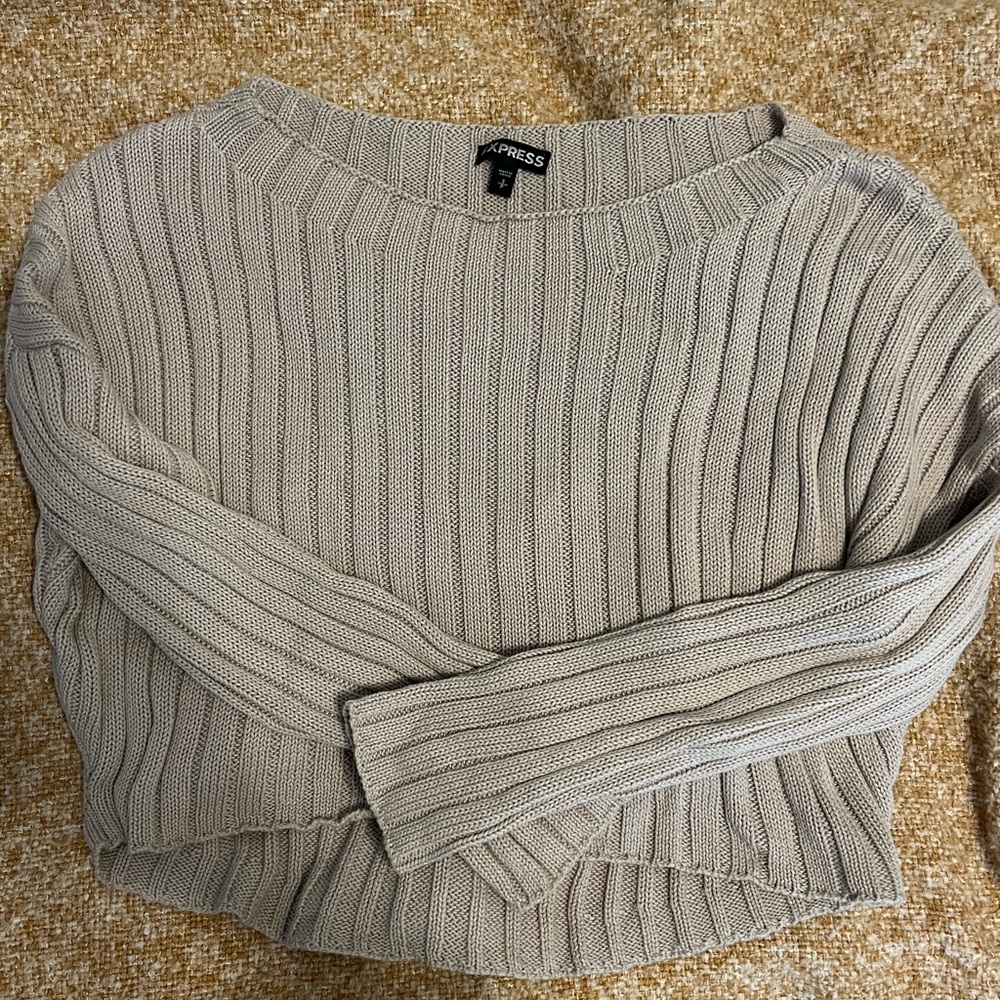Express tan sweater